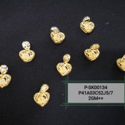 P-SK00134