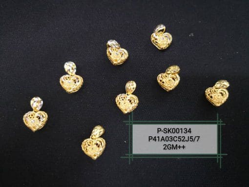 P-SK00134