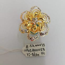 R-SK00074