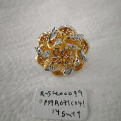R-SK00079