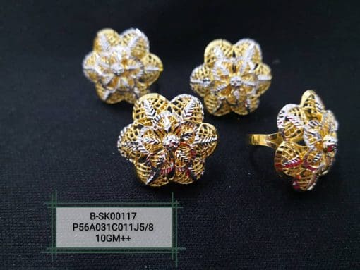 R-SK00117