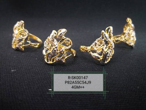 R-SK00147