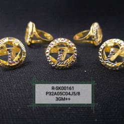 R-SK00161
