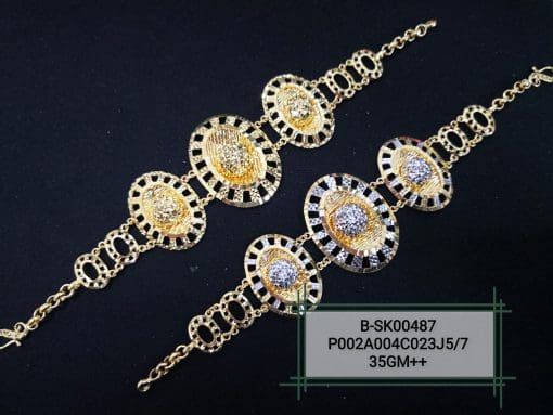 B-SK00487