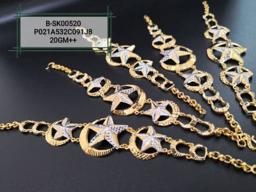 B-SK00520