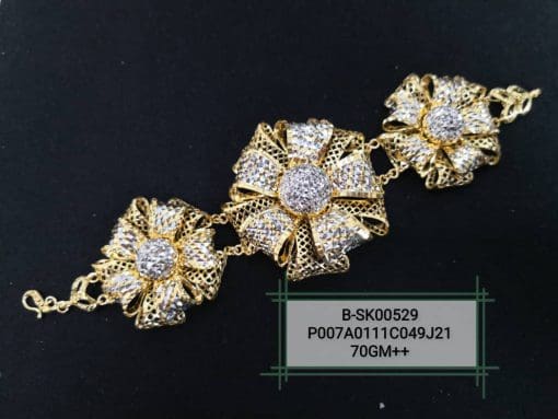 B-SK00529