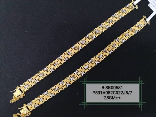 B-SK00581
