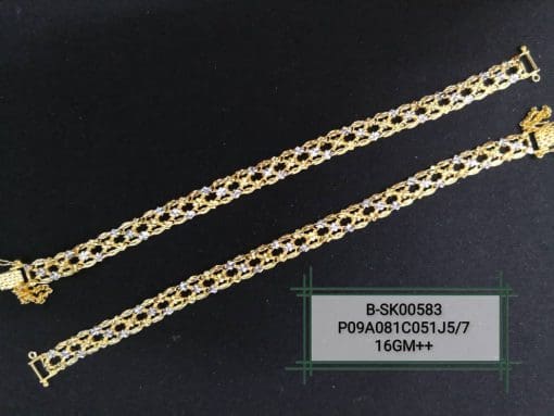 B-SK00583