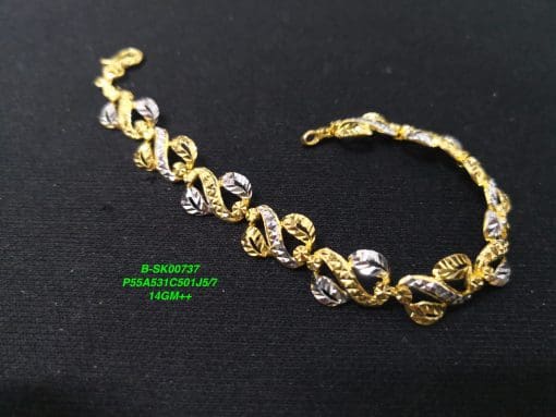 B-SK00737