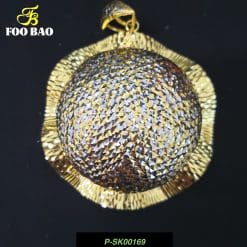 P-SK00169