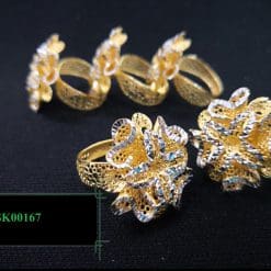 R-SK00167