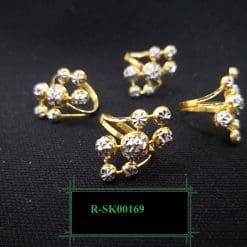 R-SK00169