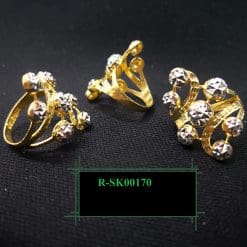 R-SK00170