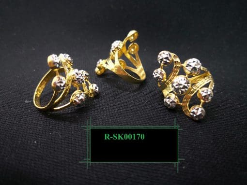 R-SK00170