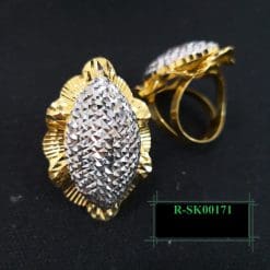 R-SK00171