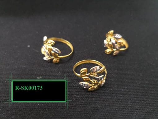 R-SK00173