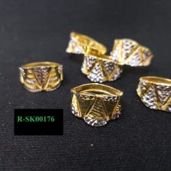 R-SK00176
