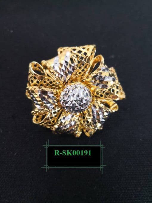 R-SK00191