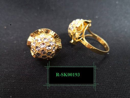 R-SK00193