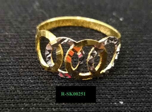 R-SK00251