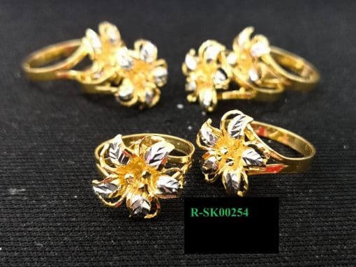 R-SK00254