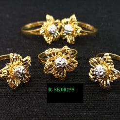 R-SK00255