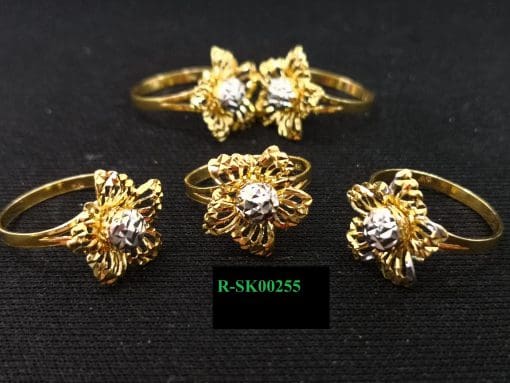 R-SK00255