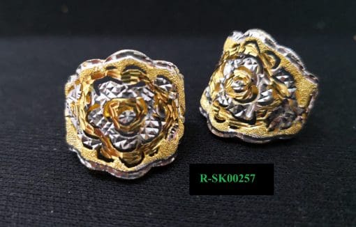 R-SK00257