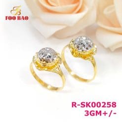 R-SK00258