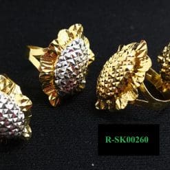 R-SK00260
