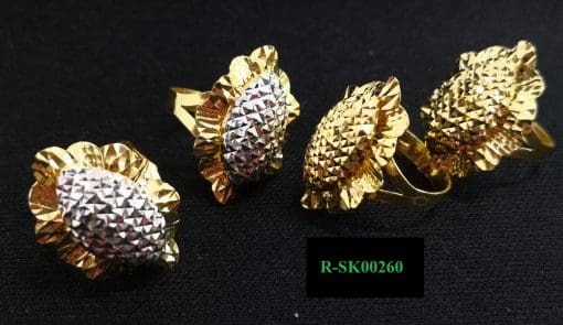 R-SK00260