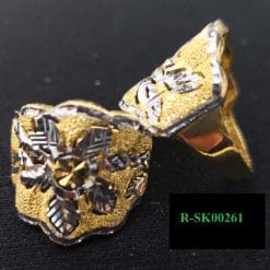 R-SK00261