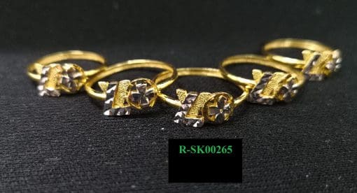 R-SK00265