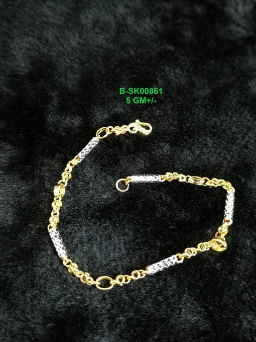 B-SK00861