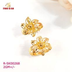 R-SK00268