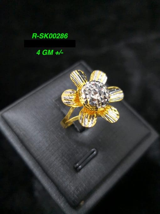 R-SK00286