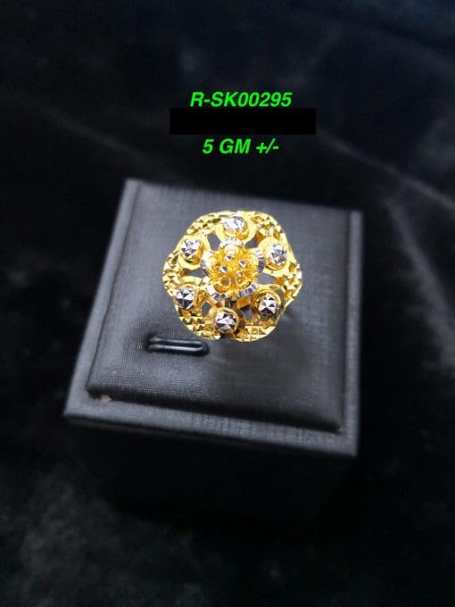 R-SK00295
