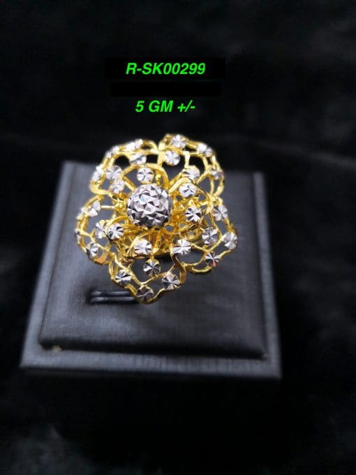 R-SK00299