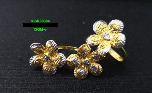 R-SK00304