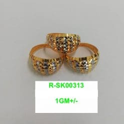 R-SK00313