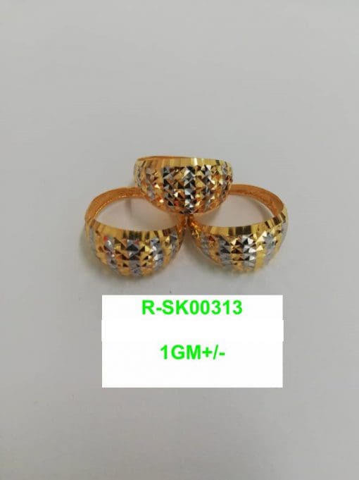 R-SK00313