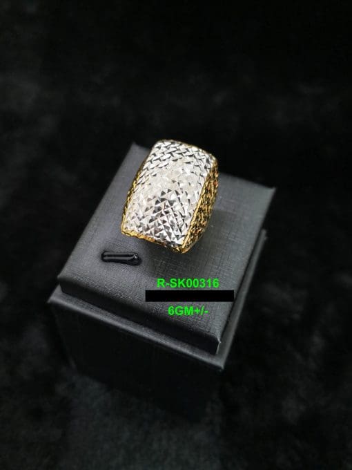 R-SK00316