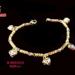 B-SK01013
