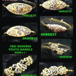 YBG-SK00006