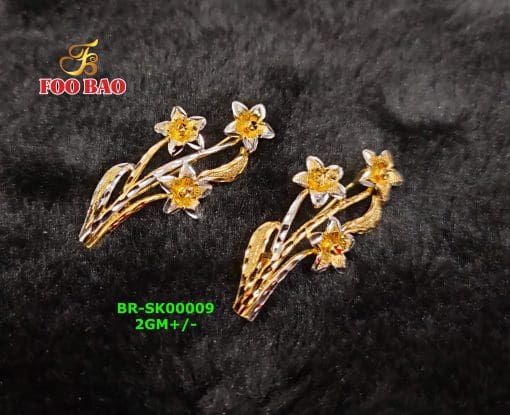 BR-SK00009