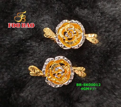 BR-SK00012
