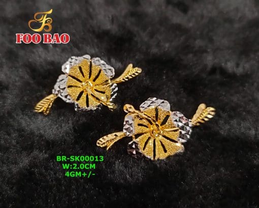 BR-SK00013