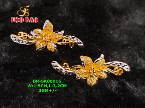 BR-SK00016