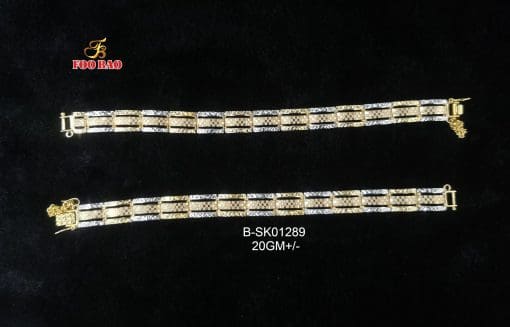 B-SK01289