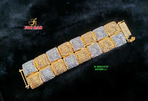 B-SK01576